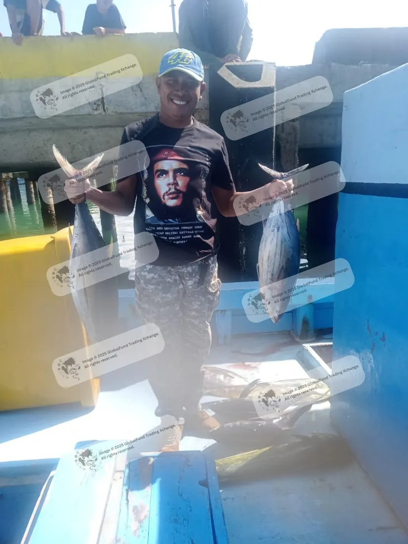 Skipjack tuna held up at the supplier