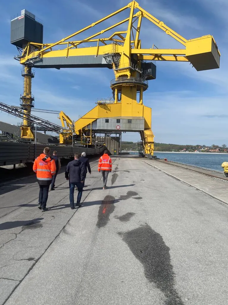 Dźwig terminalu masowego w porcie partnerskim